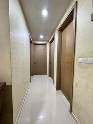 The Palette (D18), Condominium #521269821